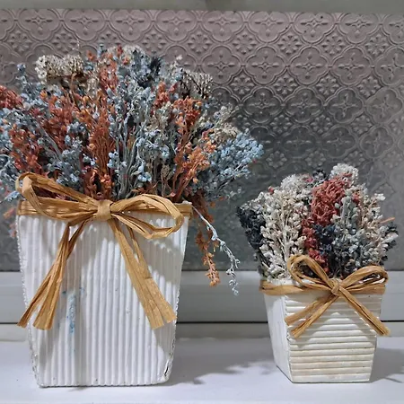 Dom wakacyjny Northern Air House