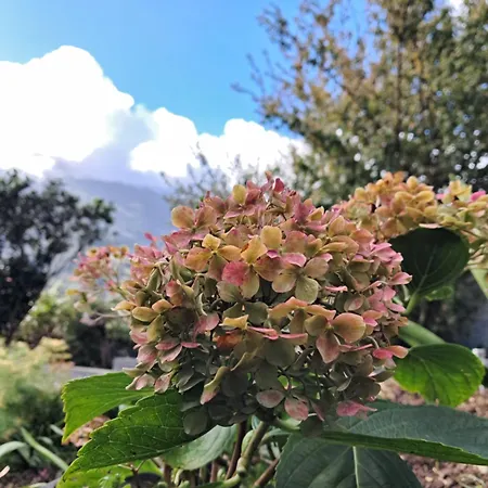 Dom wakacyjny Northern Air House *