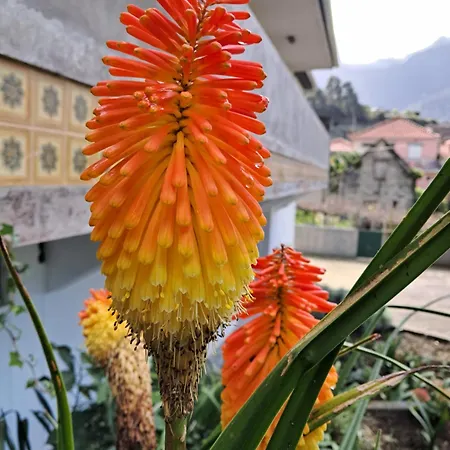 Northern Air House Dom wakacyjny *