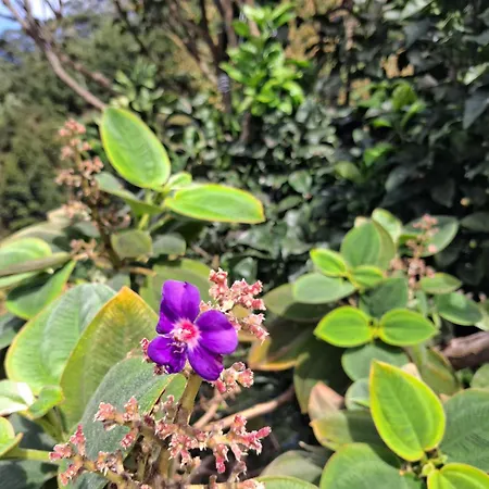 Northern Air House São Vicente