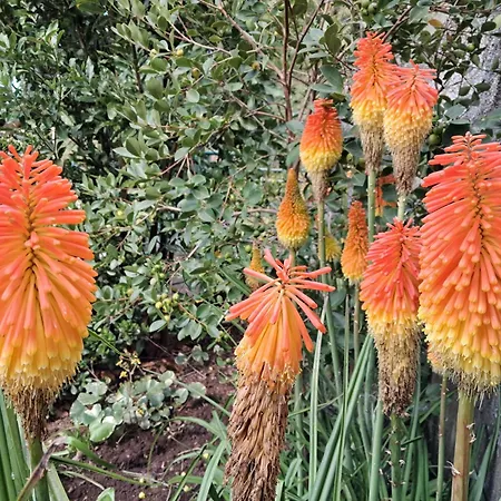 Northern Air House São Vicente