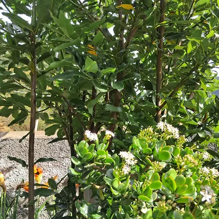 Northern Air House Dom wakacyjny