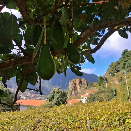 Northern Air House * Sao Vicente (Madeira)