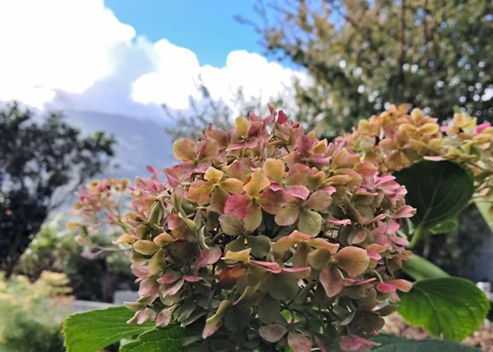 Holiday home Northern Air House *