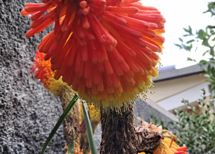 Northern Air House * Sao Vicente (Madeira)