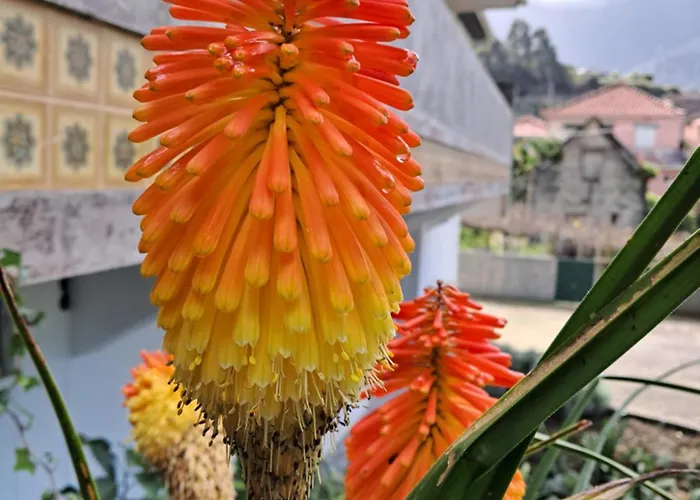 Northern Air House Holiday home *