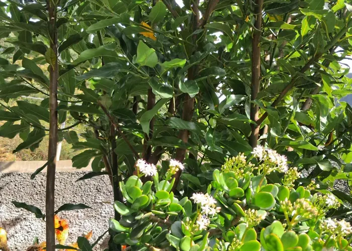 Northern Air House Holiday home