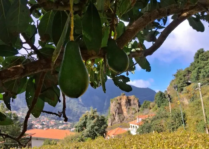 Northern Air House * Sao Vicente (Madeira)